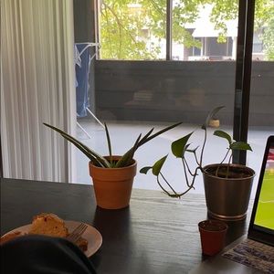 Meet your Posher, Yombe